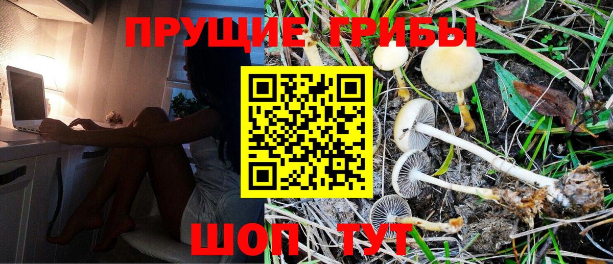 Галлюциногенные грибы мухоморы Борзя