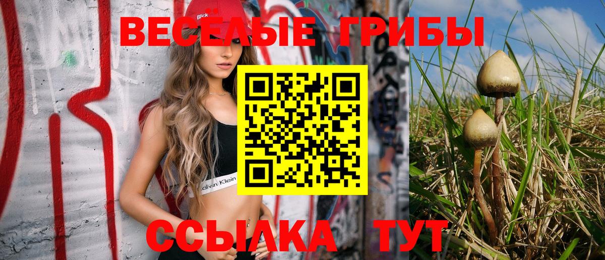 Псилоцибиновые грибы Magic Shrooms  Вход с VPN  Борзя  Галлюциногенные грибы мухоморы 